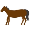 【追い切り注目馬】【NHKマイルC】【立夏S】他　2025/5/11(日) 東京競馬　当週感じさせた上昇度