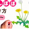 たんぽぽの描き方【6歳から・初心者】ぺんてるクレヨンでかんたんに描けるコツとたんぽぽの豆知識【英語ナレーション動画あり】