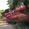 「幸花樹園」まだまだ見ごろ