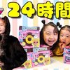 2月19日の動画