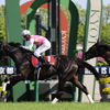 GWに京都競馬場へ行ってきました 【画像多め】