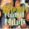 村山野川で伐採した樹木が無料配布されます　村山市