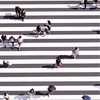 歩数