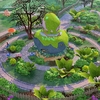 Enchanted by Nature（6）