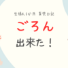 生後4.5か月　「ごろん」が出来た！