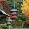 題名「三室戸の秋」