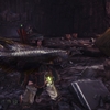 【MHW】環境生物：ドス白金魚【調査】