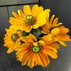 朝から紫外線が強い＞＜