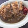 定食春秋（その 294）カツカレー