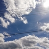 七夕の暑い空　　　　　　　　　　　　　　　　　　　　　　　　　　彦星と織姫星が見えるかも💕