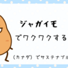 じゃがいもでワクワクする39歳