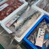 船橋のせんどばが業務用食材が並ぶなか、鮮魚激推しの店でした