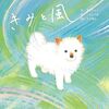柴犬まるちゃん、お空組へ