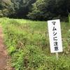 埼玉に行って「マムシに注意」の山を歩いてみた