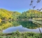 霧ヶ谷津池（埼玉県深谷）