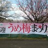 梅は咲いたか　桜はまだかいな🎶