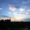 浜ちゃんの散歩道（５０７）      日中は猛暑に耐えられず、エアコンを入れて過ごした。夕暮れは爽やかな風が吹き、戸外は心地よかった。