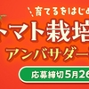  【５/２６】デルモンテ トマト栽培アンバサダーキャンペーン【オープン/web】