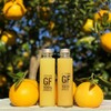 国産グレープフルーツ果汁【HIMUKA CITRUS：JUS】GF100％／GF100％ プレミアム2本セット：宮崎県産のみかん・柑橘類｜食べチョク｜産地直送(産直)お取り寄せ通販 - 農家・漁師から旬の食材を直送