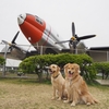 航空記念公園【埼玉県所沢市】