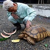 関西らしい動物ニュース