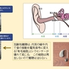 徒然に（７）　老化、身体障がいのこと