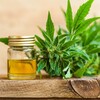 Every Concern You've About Cbd And Answered