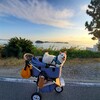 【ペット宿】日間賀島　喜楽