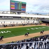 年末の京都競馬場へ行った