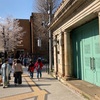 上野の桜  台東区上野公園、上野桜木