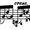 カイザー３１番 / Kayser 36 studies no.31 Allegro molto agitato (Svecenski/G.Shirmer)