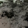 寒波！大変で本格的な雪かきがやってきました。母にはゆっくりと安静にしていて欲しいという気持ち