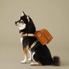 Japanese Company Makes Randoseru for Dogs