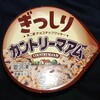 ぎっしりカントリーマアム(アイス)！カロリーや値段や味は？コンビニのセブンで買えるアイス商品