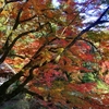 吉水園と深山峡