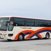 中部観光バス / 沖縄200か ・113