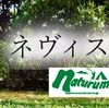 ナチュラム（naturum）のキャンプ用品をセール価格で購入する方法！ポイント利用でもっとお得に！
