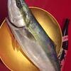本日入荷の漁港直送のお魚さん！