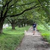 後悔、時間の中で芽生えた愛 〜ペットロスと再びの出会い〜