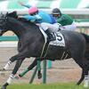 ゼーヴィントなど、七夕賞厩舎情報/美浦トレセンニュース