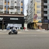 朝の散歩です