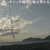 ２０２２/１２月１１日の釣果