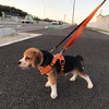 反省