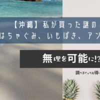 【沖縄】私が買った謎のお土産　はちゃぐみ、いもぽき、アンダカシー