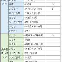 日陰でも育つ 家庭菜園向け育てやすい便利な野菜リストと種を蒔く時期一覧 たのしいことまとめ