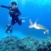 沖縄でダイビングするなら【Dive Star】