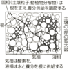 農作物を適切に栽培するために知っておきたい土壌の役割と種類