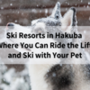 Ski Resorts in Hakuba Where You Can Ride the Lift and Ski with Your Pet