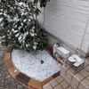 少しだけ雪が積もった