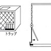 動物の不思議な行動（後半）